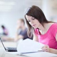 Bestonlineessay