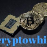 CryptoWhile