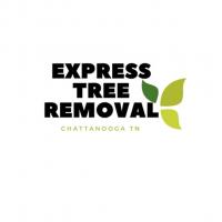 treeremovalservice7