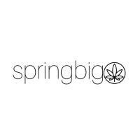 SpringBigLoyalty
