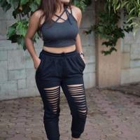 Diptikaur
