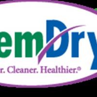 CarpetCleaning