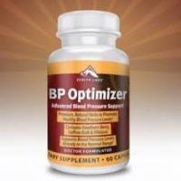 Bpoptimizerbps
