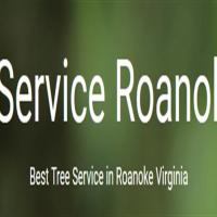 treeserviceroanoke