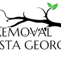 treeremovalaugustageorgia