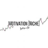 motivationniche