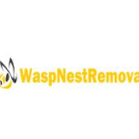 WaspNestRemoval