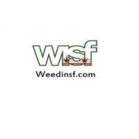 weedinsf