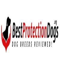bestprotectiondogs