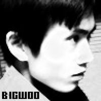 bigwoo