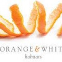 orangeandwhitewhite8920