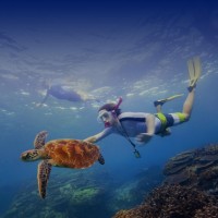 vladimirmilanovic8657