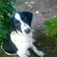 МартинСтојчевски6478