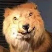 CRISTIANCAMILODURANCASTRO686