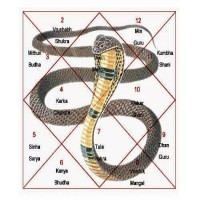 KaalSarpDoshPujaUjjainPrice