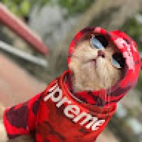 KeereephatBoonraksa3392