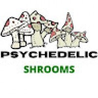 PsychedelicShrooms7212