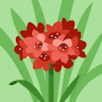 Usun111lottoonline5604