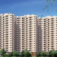 PrestigeParkRidge3345