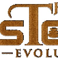 TheStoneEvolution760