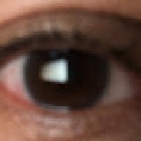 AlexandreMarques7687