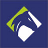 SupremeMarketing8563