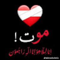 HassantahirTahir5606